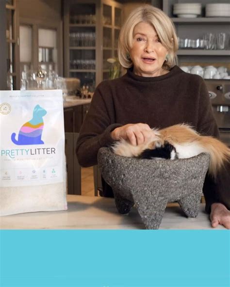 Prettylitter com - Jul 7, 2023 · Pretty Litter has over 25,000 5-star reviews on their website. Customers love the odor-blocking ability of the litter, one writing, “ PrettyLitter checked off every box for us … the odor control is great, no dust, and it’s impressive how much less litter is needed compared to others. 
